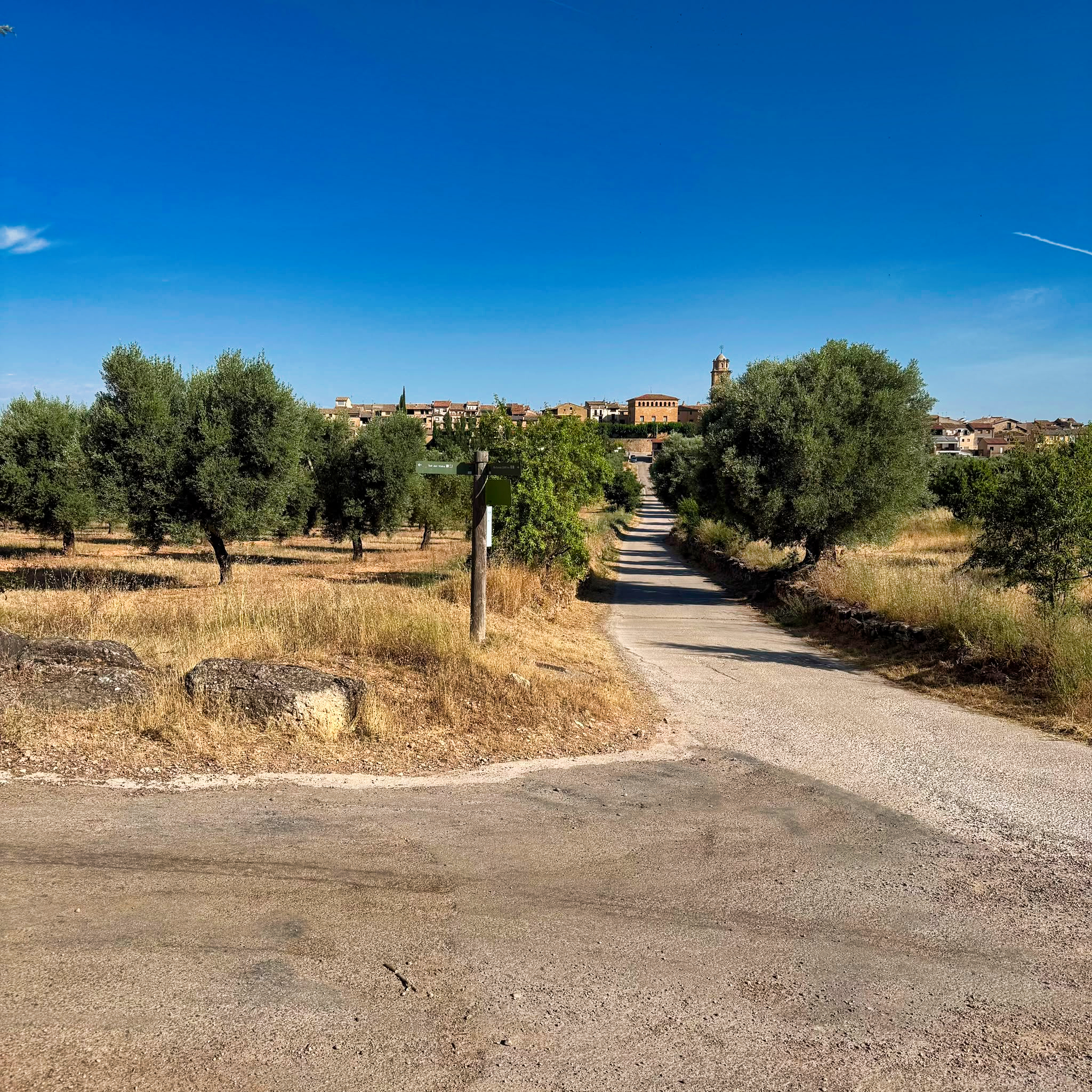 Font del Calvari